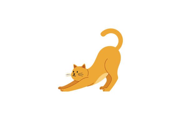 Orange Cat Stretching Gracefully in a Pl